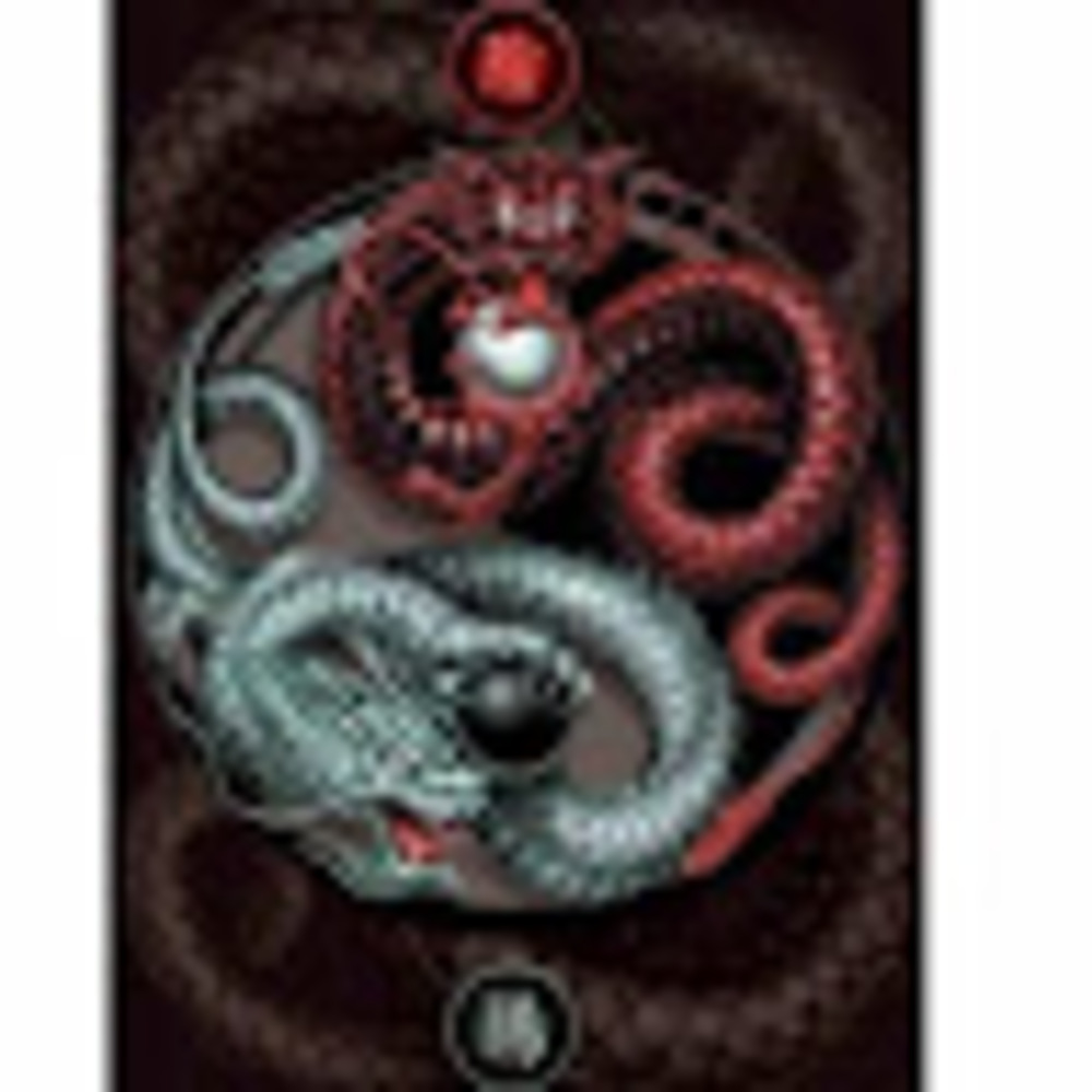 Meet your Posher, Ariana